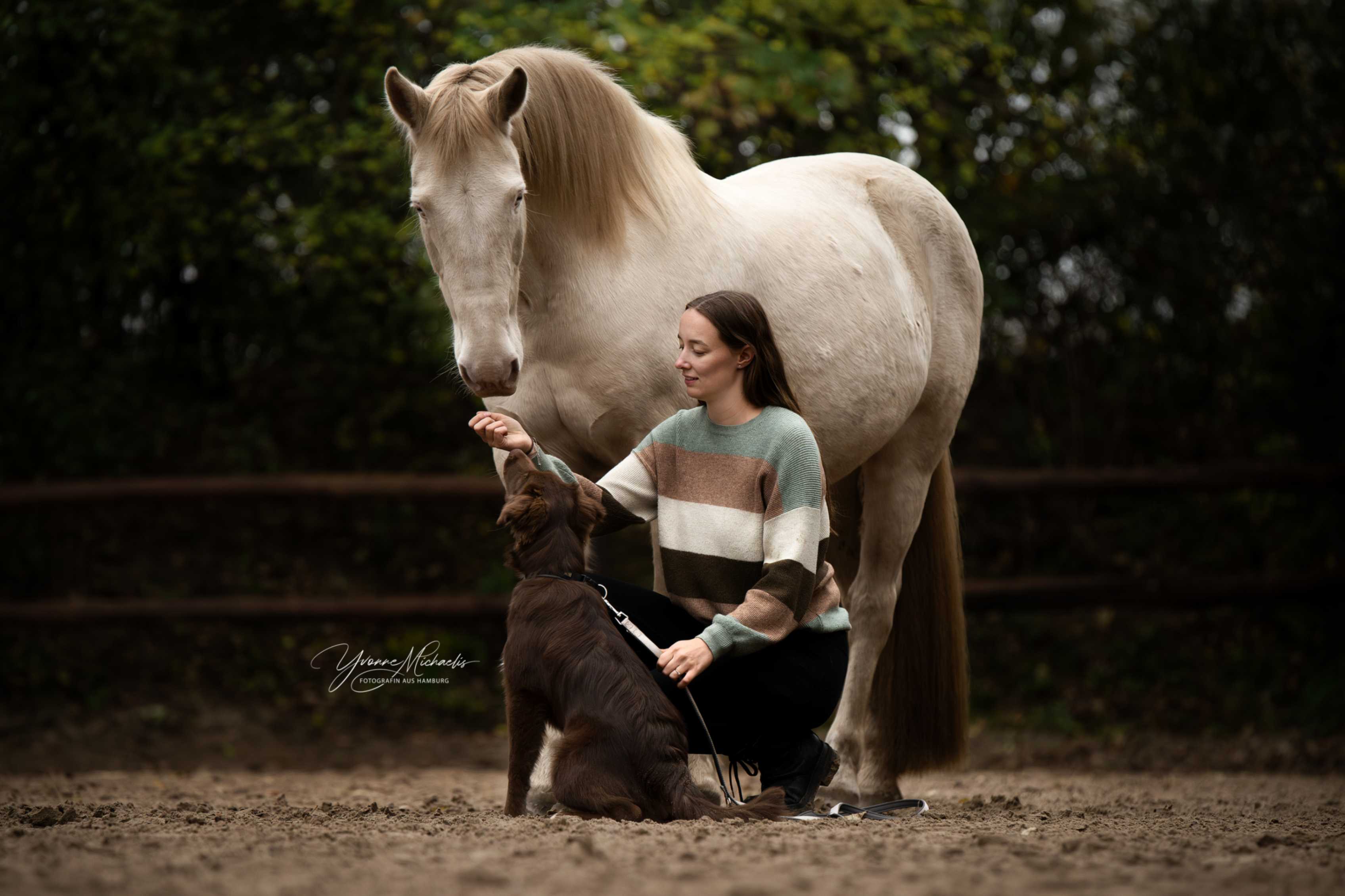 Yvonne Michaelis Portfolio