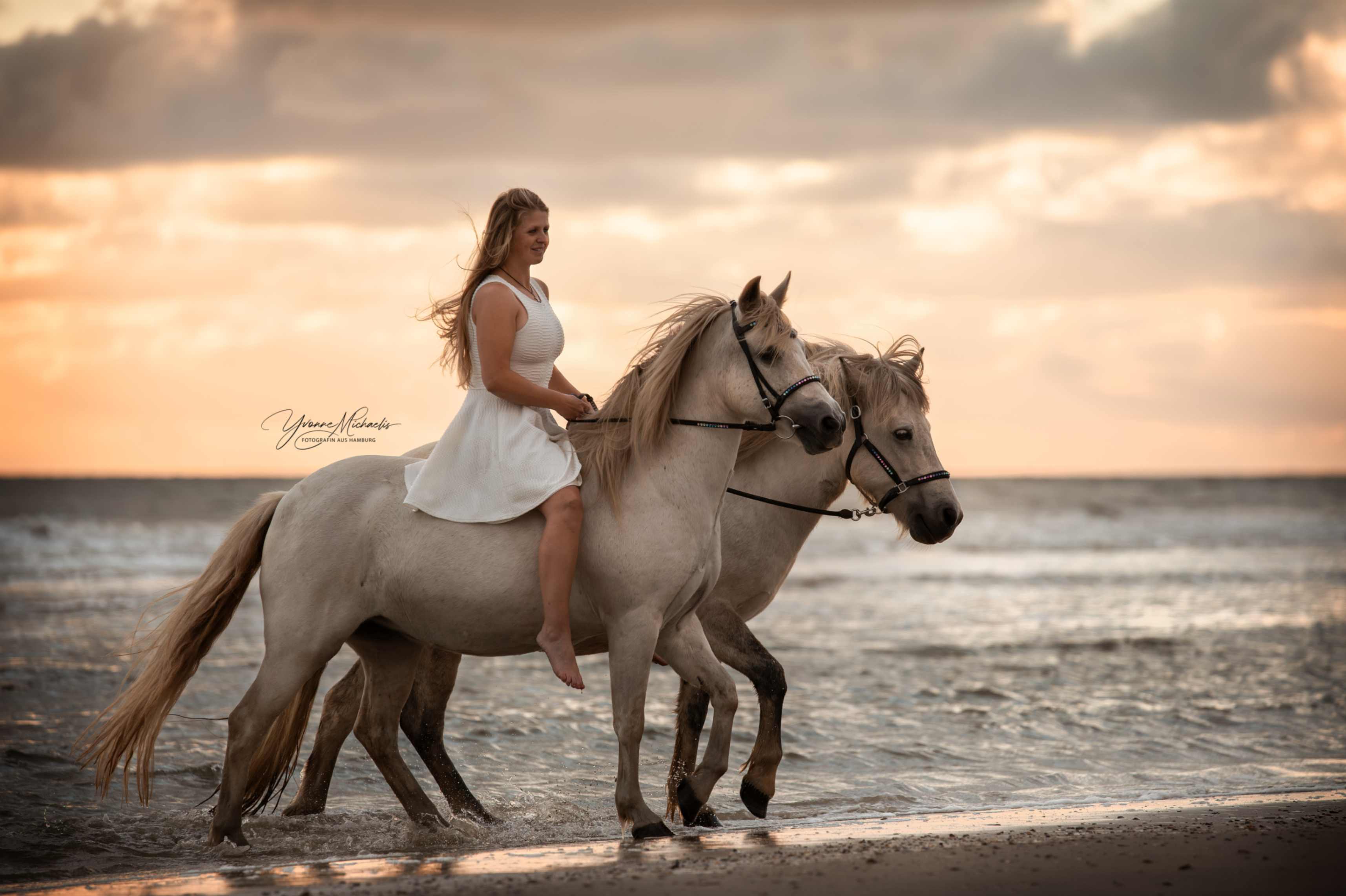 Yvonne Michaelis Portfolio